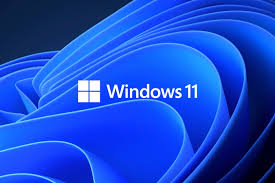 Windows 11 Professional KEY [activation]