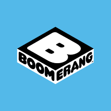 Boomerang Premium | 6 Months Warranty