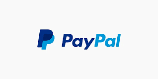 PayPal Logs
