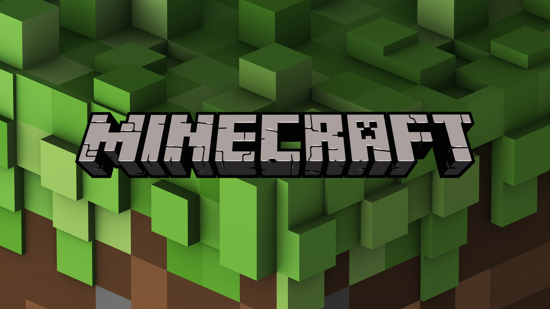 MINECRAFT PREMIUM SKIN/NICK CHANGE