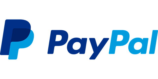 Paypal log 1.000 balance or more guaranteed