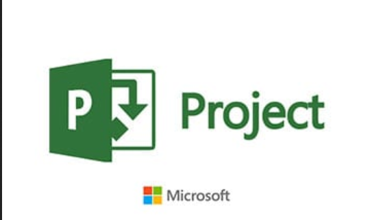 Microsoft Office Pro Plus 2024