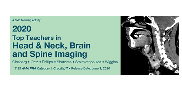 2020 Top Teachers in Head & Neck, Brain and Spine Imaging ( Videos + PDF )