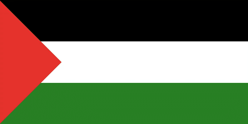 100K Palestine Email Database