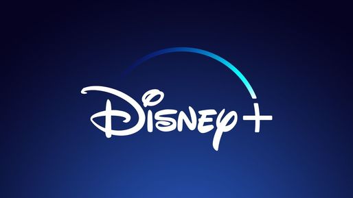 Disney 6 Months - Legit