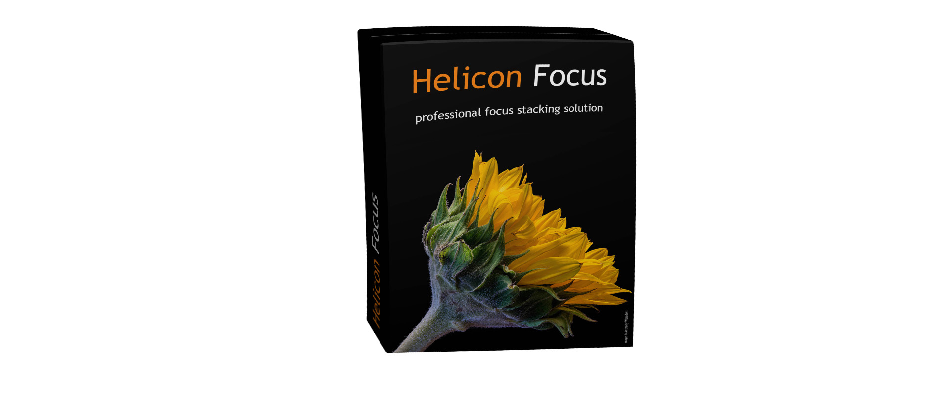 Helicon focus pro Lifetime
