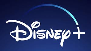 Disney+ Premium Account (1 year warranty)