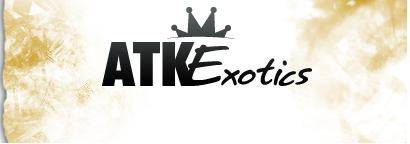 ATKExotics account / 6 Mounths Fast Delivery