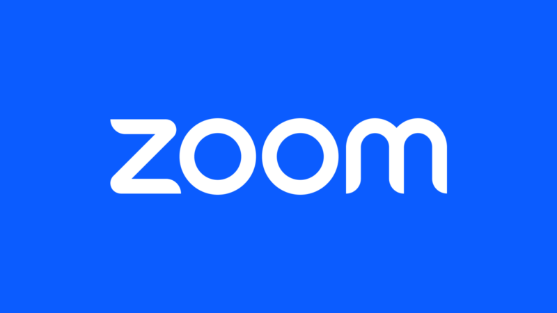 Zoom Pro License [100p] - 6 Months