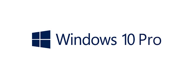 Windows 10 Pro Key - Private l 5 Activations