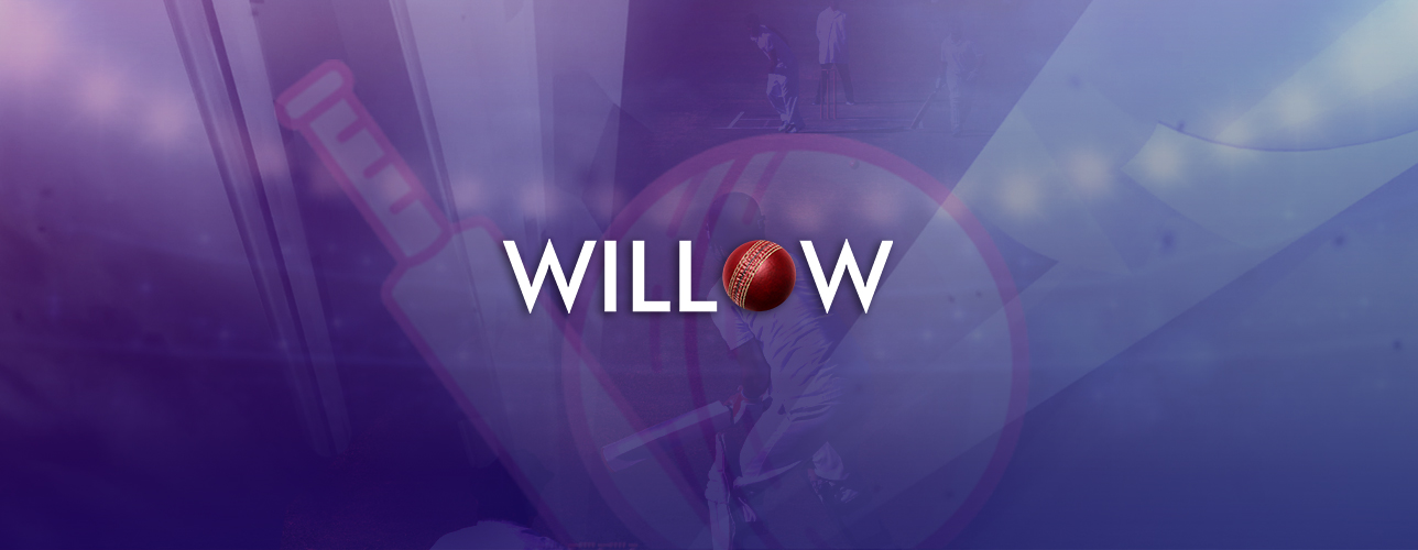 Willow TV