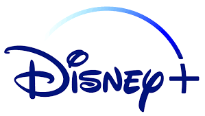 DISNEY+ PERSONAL ACCOUNT UPGRADE 12 MONTHS SUBSCRIPTION