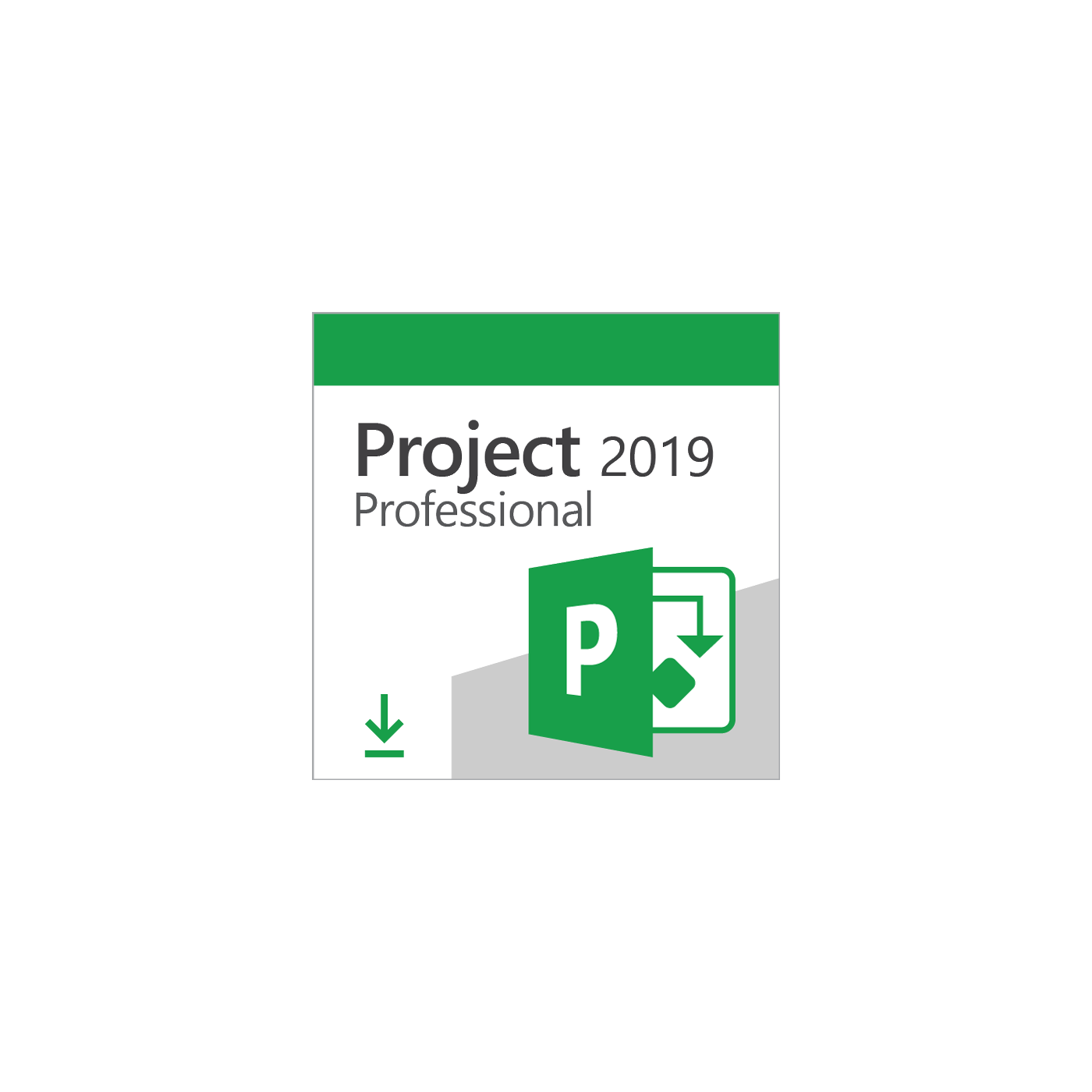 Project 2019 Professional Retail Activate via Telephone