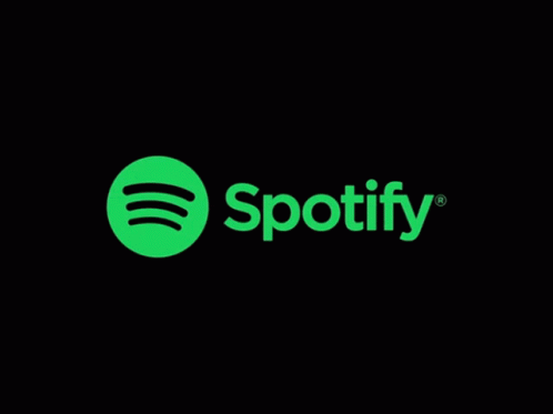Spotify Premium 1 Year [NO KICK/LEGIT PERSONAL]