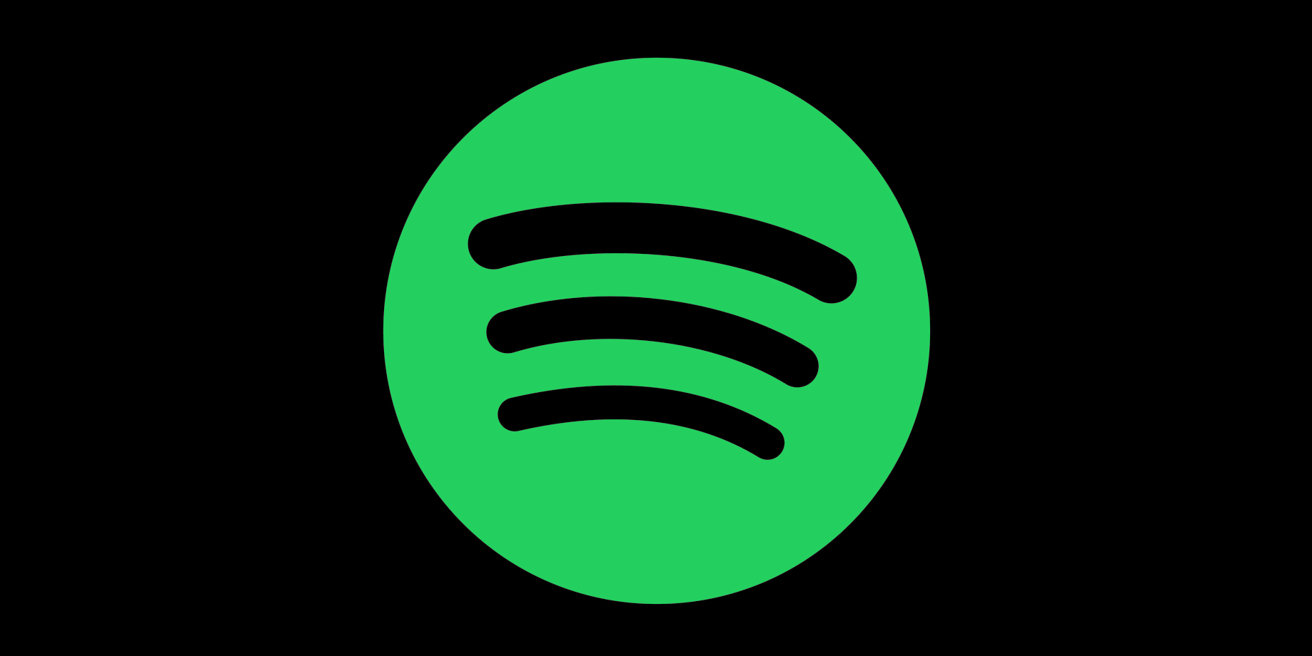 Spotify ( 12 months )