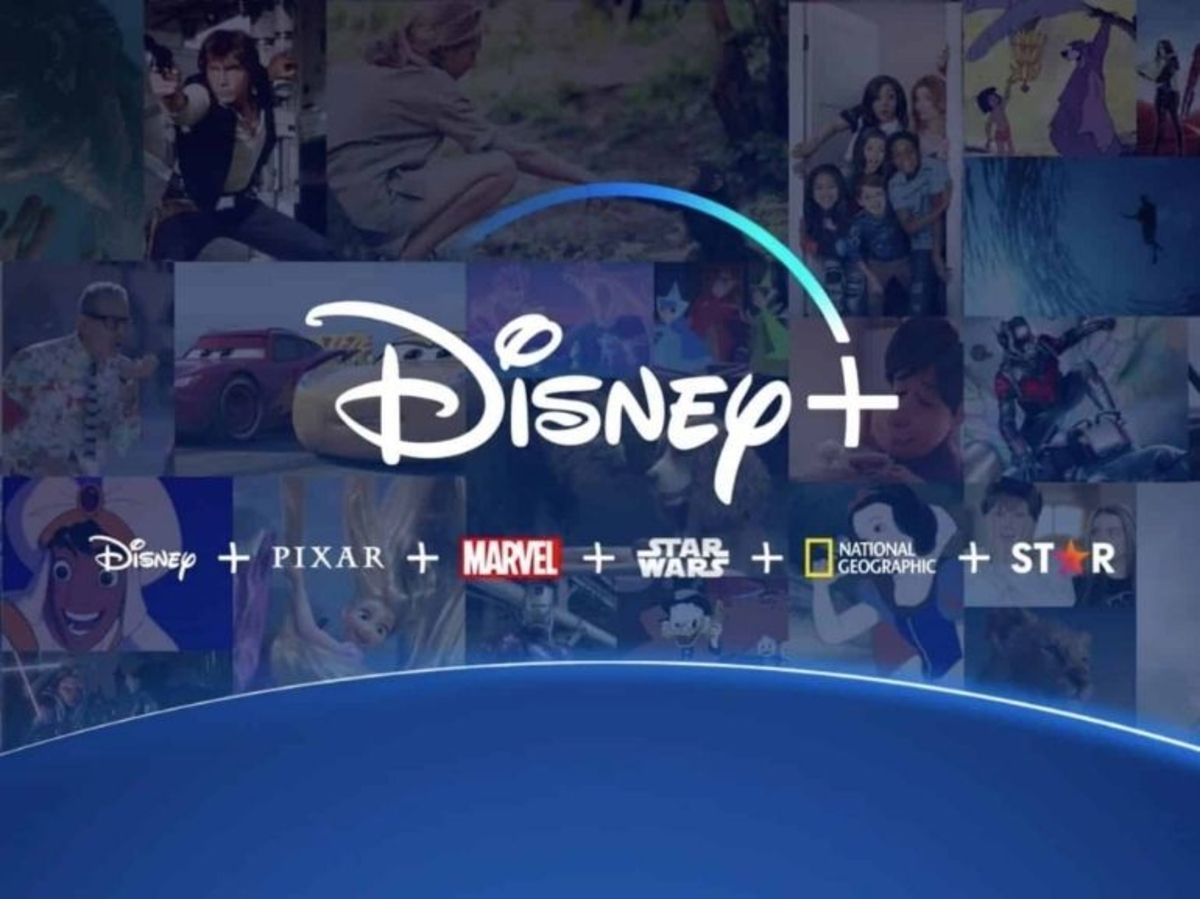 Disney+ account 1 month warranty